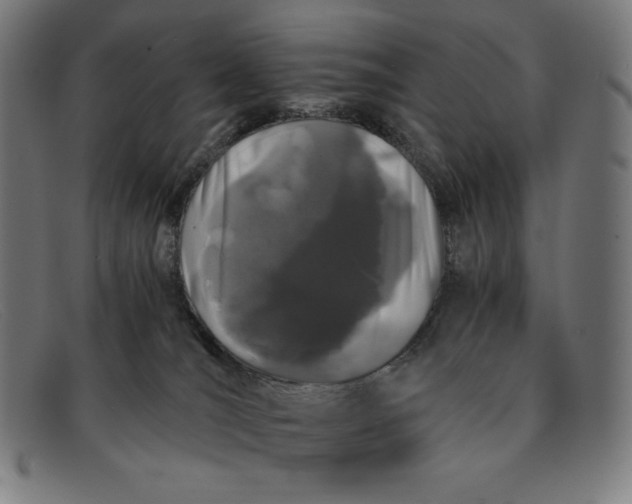 X0000091300036200708311345