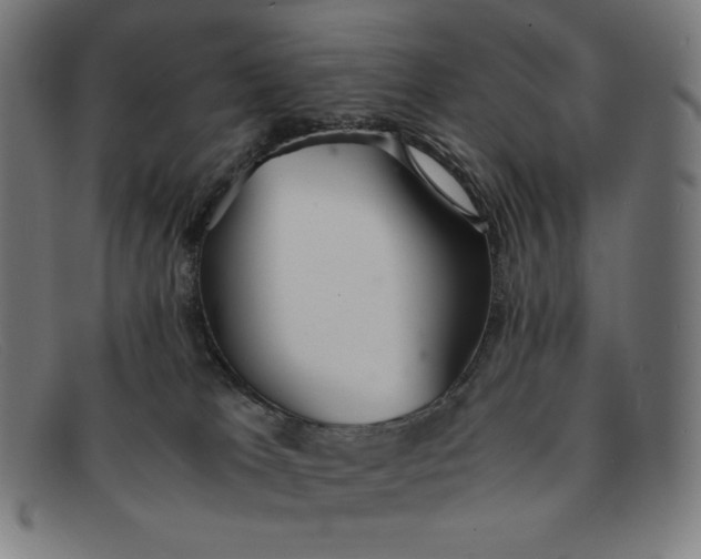 X0000091300037200708311345