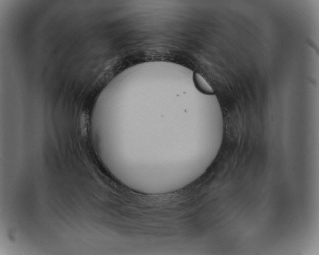 X0000091300038200708311345