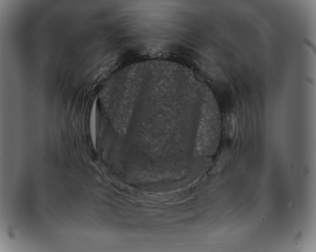 X0000091300039200708311345