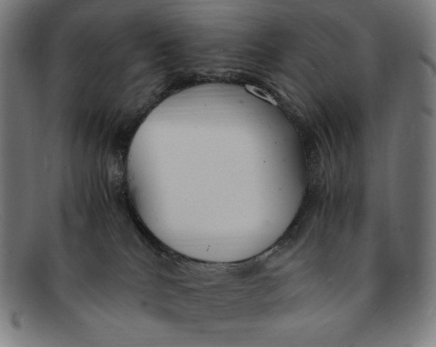 X0000091300040200708311345