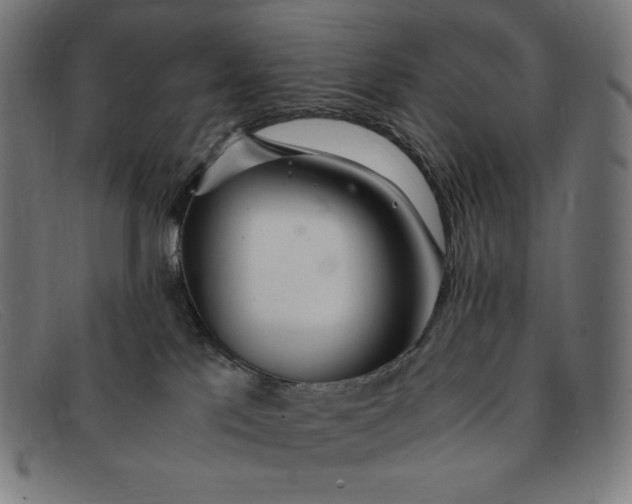 X0000091300041200708311345