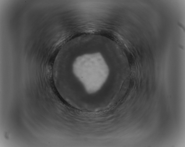 X0000091300043200708311345