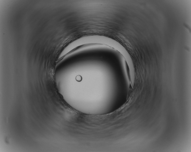 X0000091300045200708311345