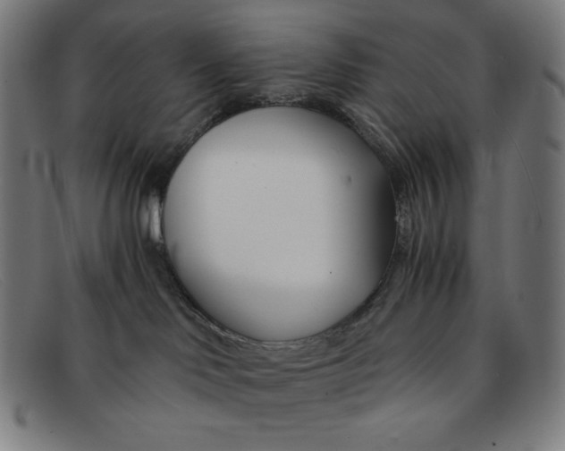 X0000091300046200708311345