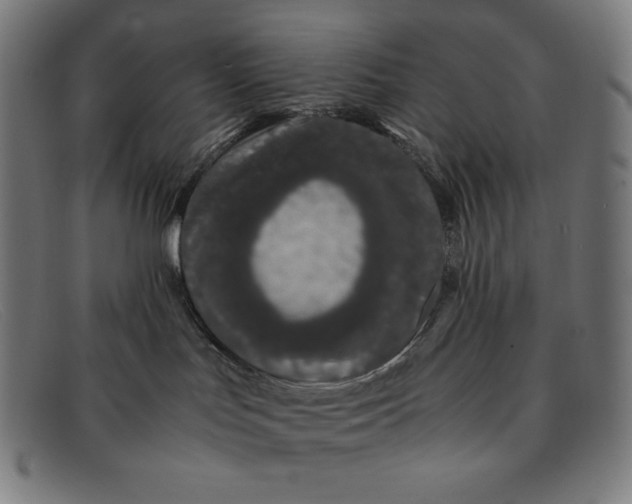 X0000091300047200708311345