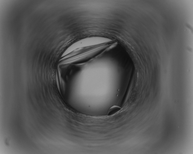 X0000091300048200708311345