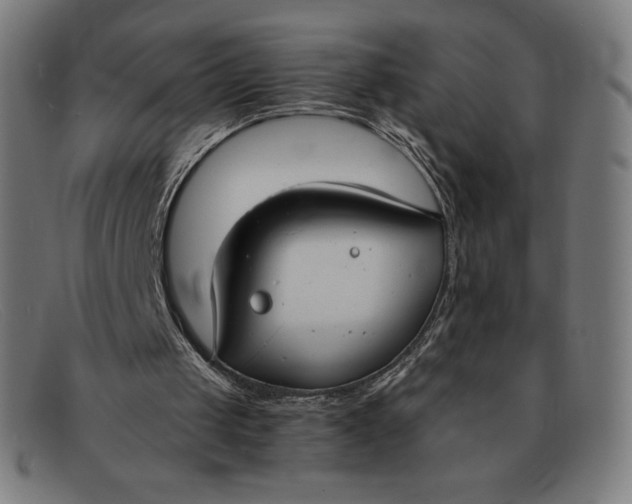 X0000091300049200708311345