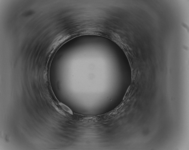 X0000091300050200708311345