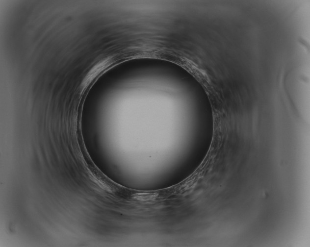 X0000091300051200708311345