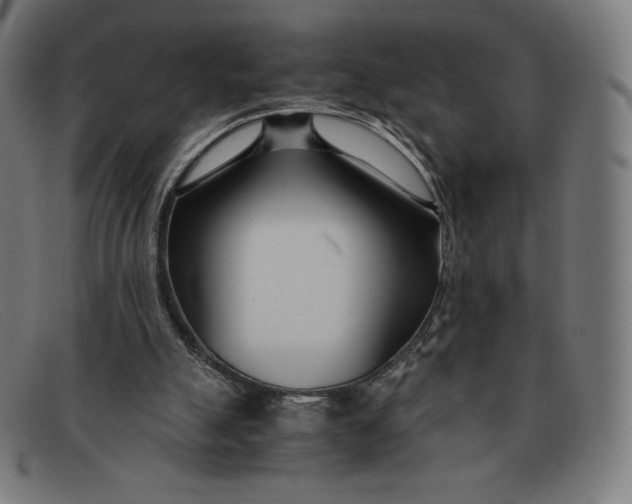 X0000091300055200708311345