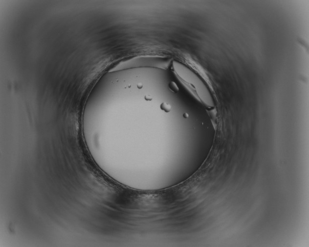 X0000091300059200708311345