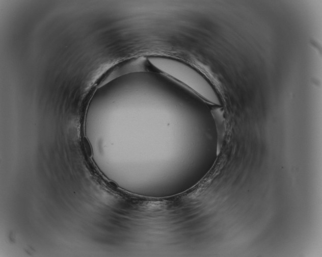 X0000091300060200708311345