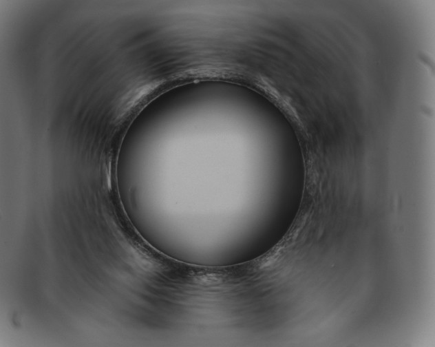 X0000091300062200708311345