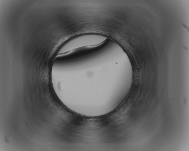 X0000091300064200708311345