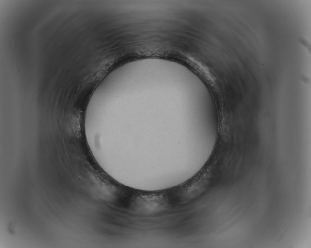 X0000091300065200708311345