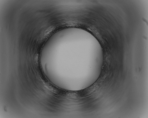 X0000091300066200708311345