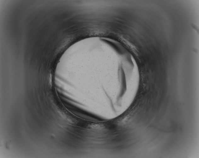 X0000091300067200708311345