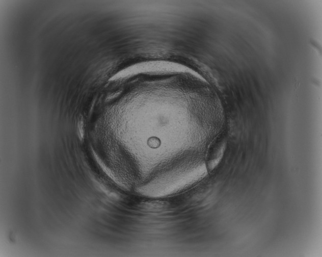 X0000091300069200708311345