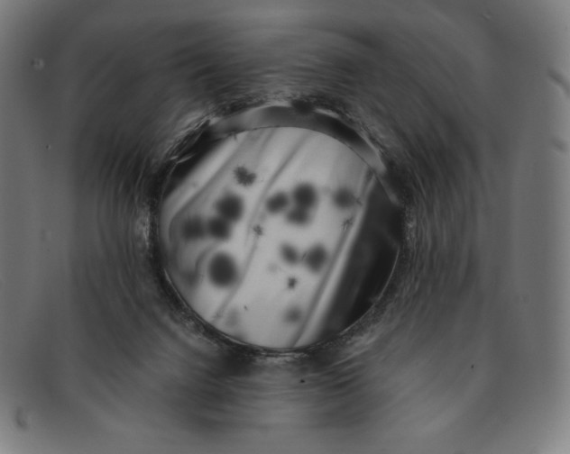 X0000091300072200708311345