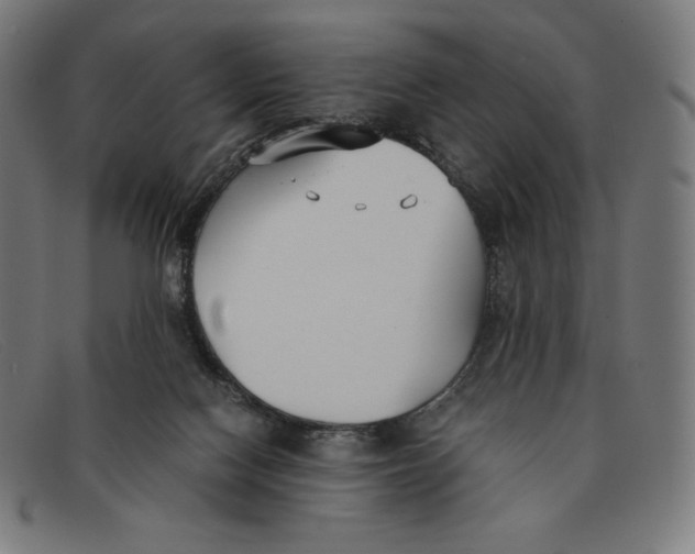 X0000091300074200708311345