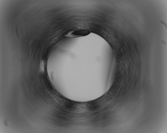 X0000091300075200708311345