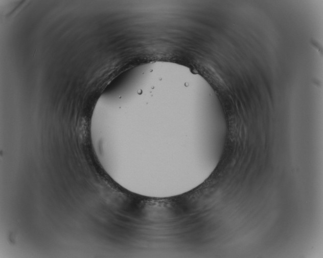 X0000091300077200708311345