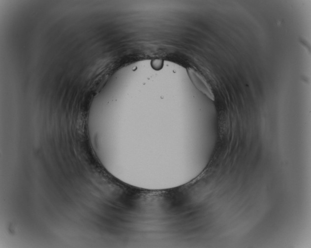 X0000091300078200708311345