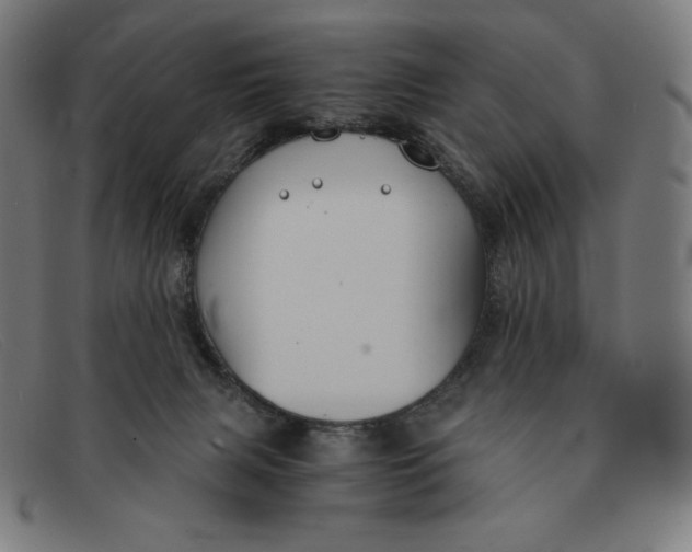 X0000091300079200708311345