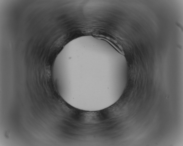 X0000091300085200708311345