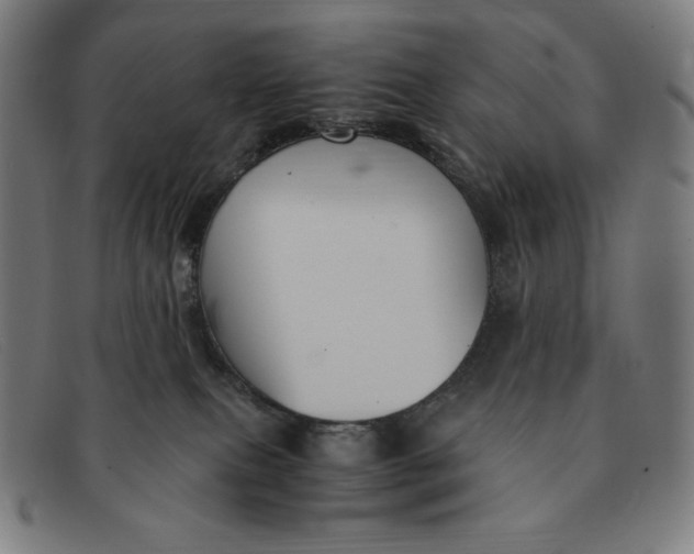 X0000091300087200708311345