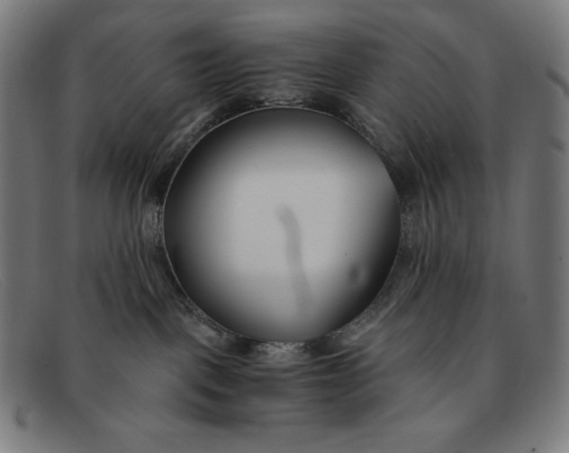 X0000091300093200708311345