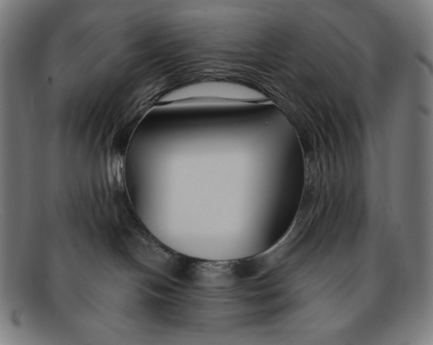 X0000091300094200708311345