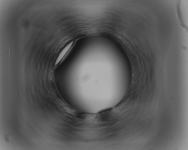 X0000091300096200708311345