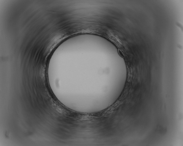 X0000091300098200708311345