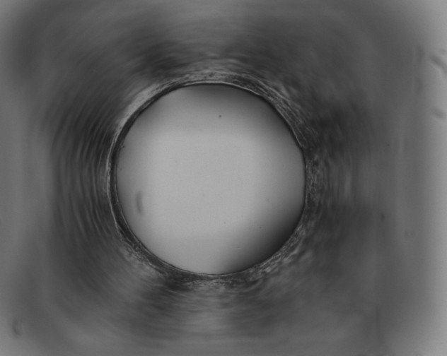 X0000091300100200708311345