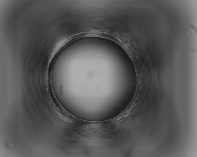 X0000091300102200708311345