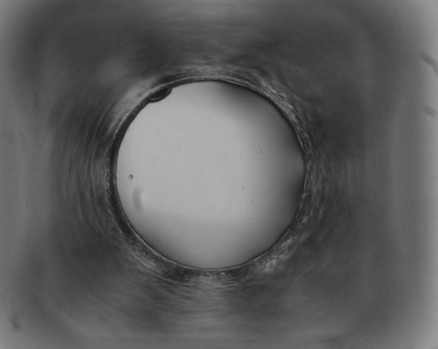 X0000091300103200708311345