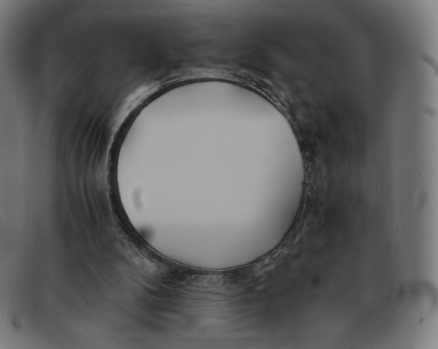 X0000091300104200708311345