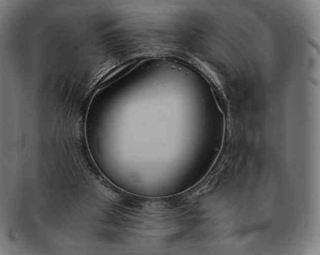 X0000091300105200708311345