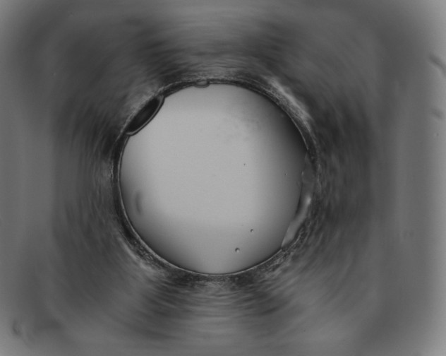 X0000091300107200708311344