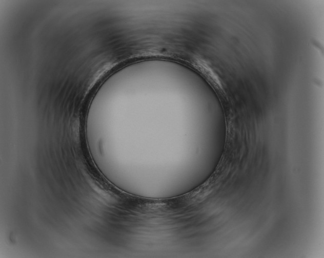 X0000091300108200708311344