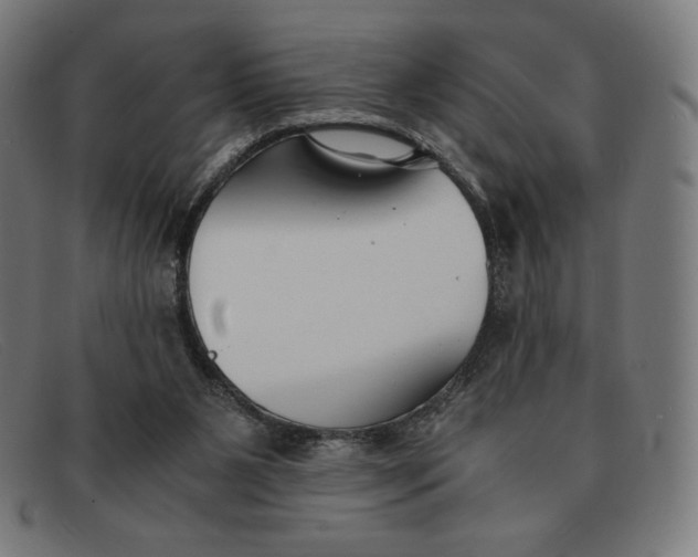 X0000091300111200708311344