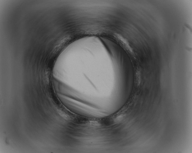 X0000091300114200708311344