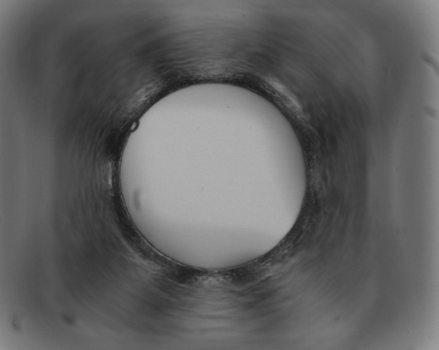 X0000091300115200708311344