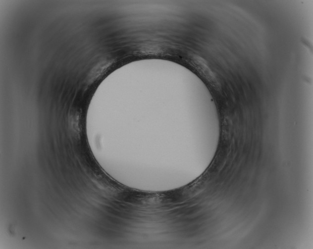 X0000091300116200708311344