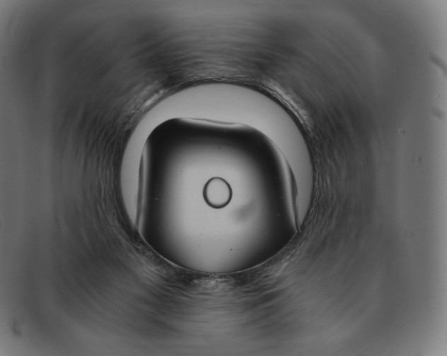 X0000091300117200708311344