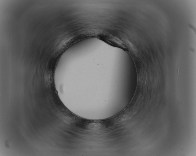 X0000091300119200708311344