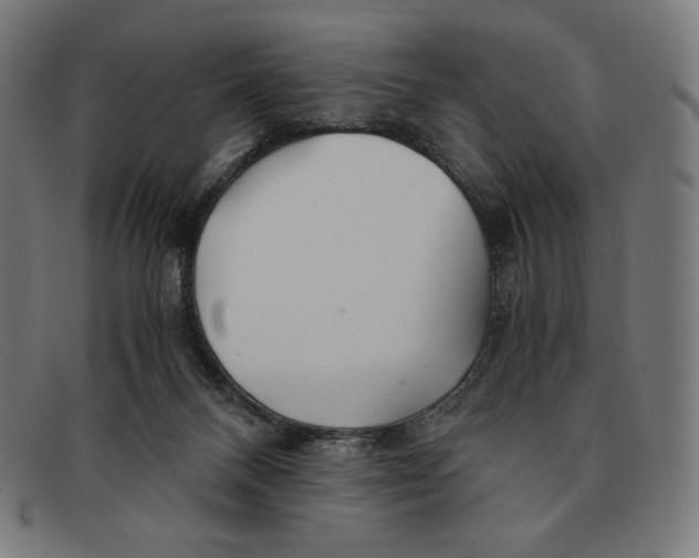 X0000091300120200708311344