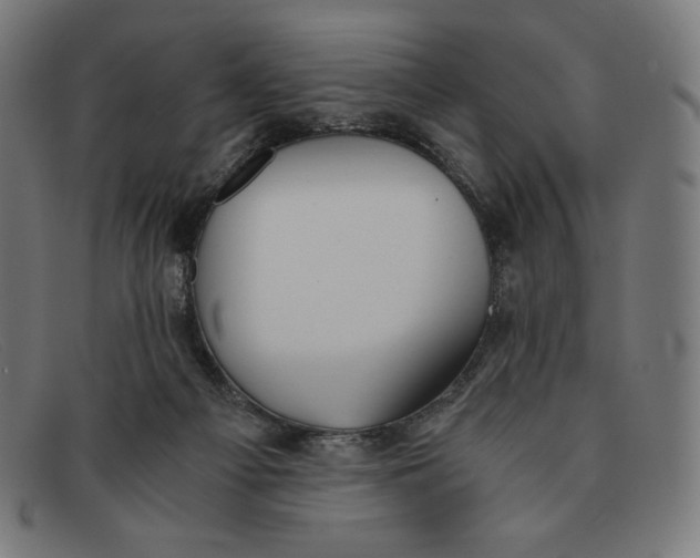 X0000091300121200708311344